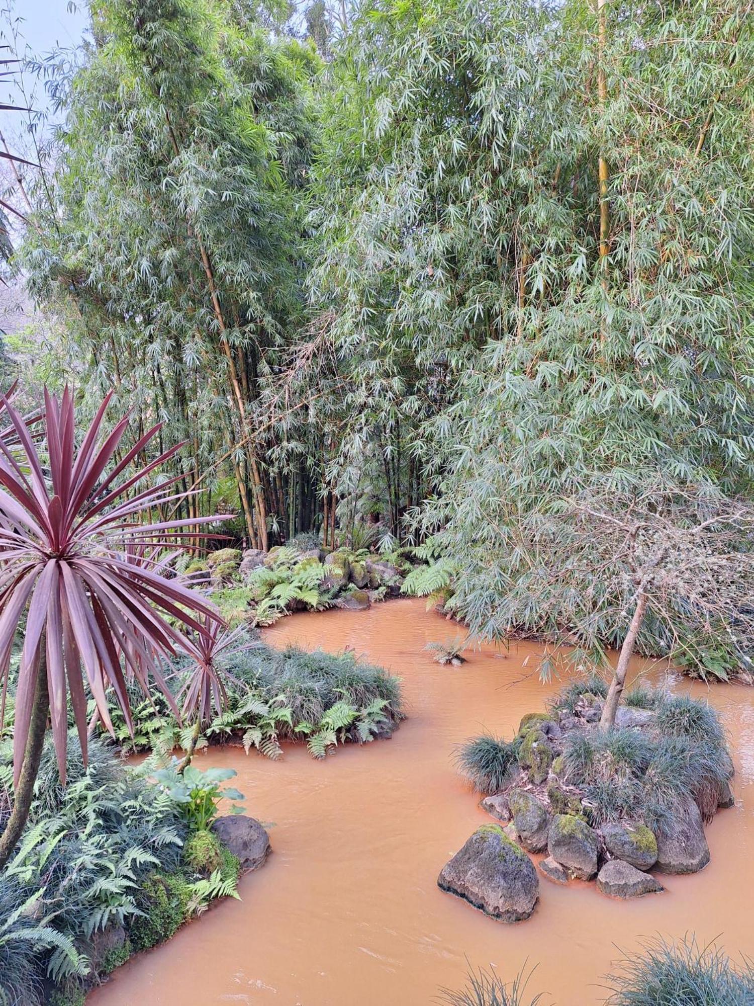 Caminhos Nos Levam Pela Ilha Apartamento Ponta Delgada Exterior foto